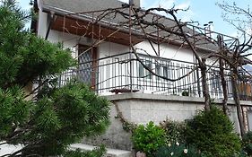 Apartments Bovec Dana